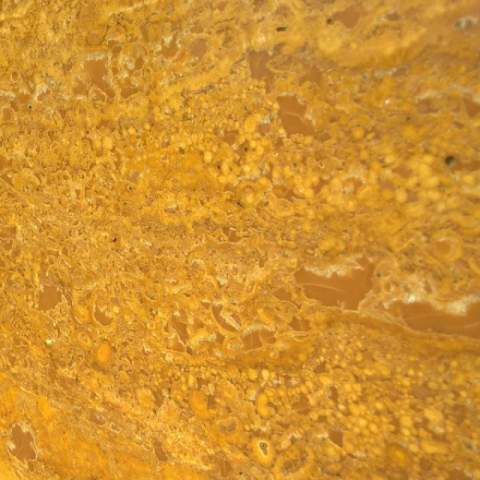 Travertino Giallo
