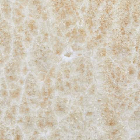Ivory Onyx