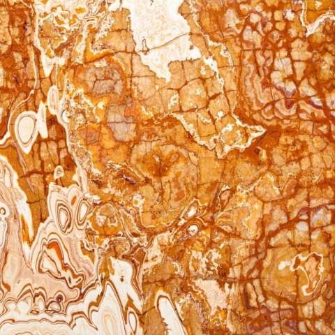 Tanganica Brown