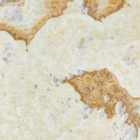 Fantastico Onyx