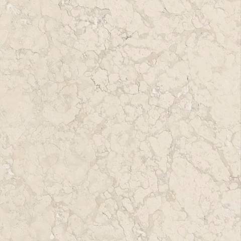 Perlino bianco - Rare