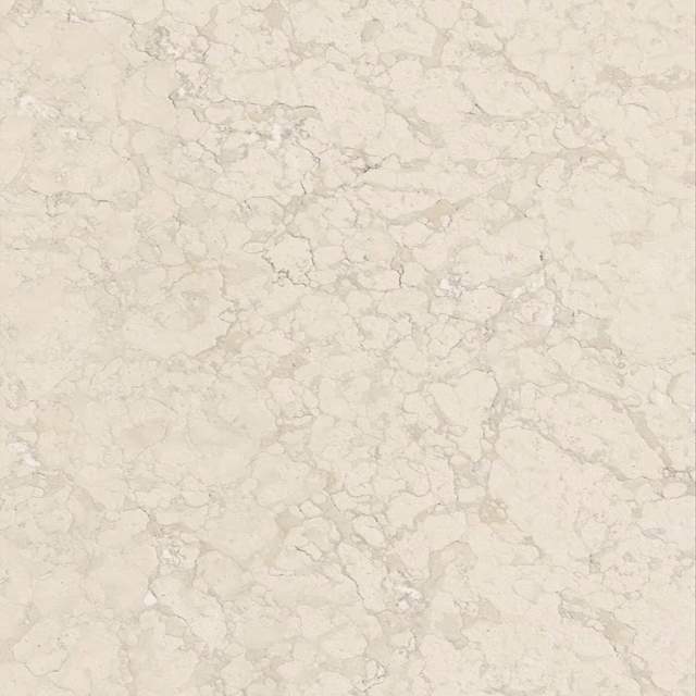 Perlino bianco - Rare