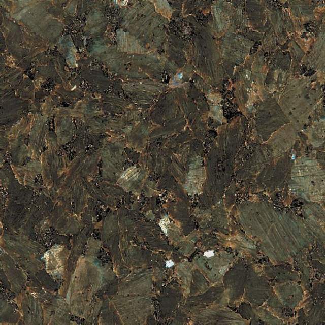 Labrador verde, č. 196