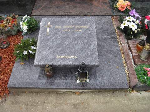 Urnový hrob, Palárikovo - Ref. č.: 72