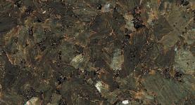 Labrador verde, č. 196