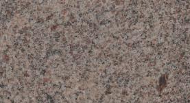 Paradiso classico, č. 208