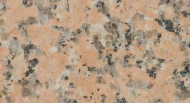 Rosa porino, č. 210